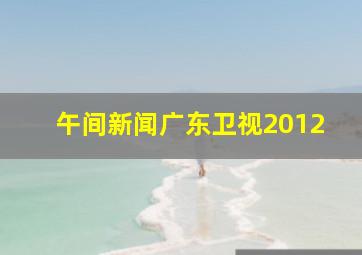 午间新闻广东卫视2012