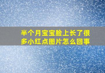 半个月宝宝脸上长了很多小红点图片怎么回事