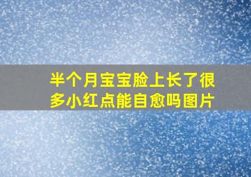 半个月宝宝脸上长了很多小红点能自愈吗图片