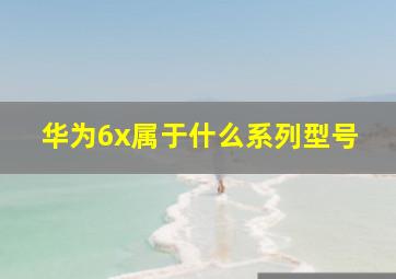 华为6x属于什么系列型号