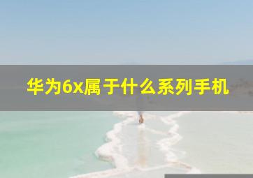 华为6x属于什么系列手机