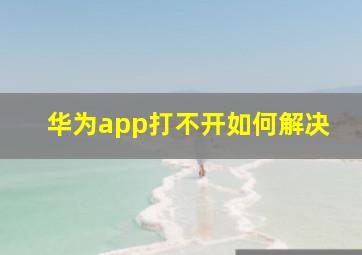 华为app打不开如何解决