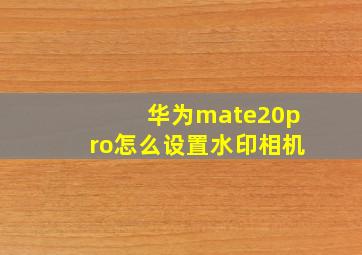 华为mate20pro怎么设置水印相机