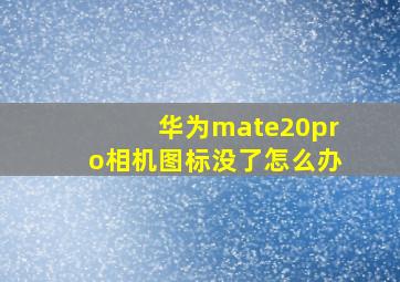 华为mate20pro相机图标没了怎么办