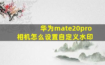 华为mate20pro相机怎么设置自定义水印