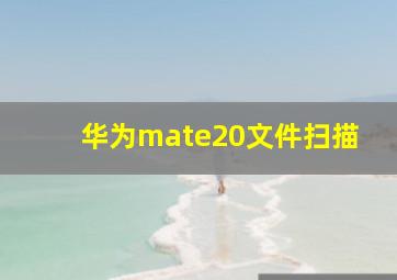 华为mate20文件扫描