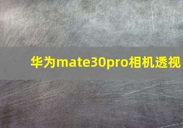 华为mate30pro相机透视