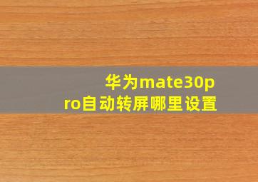 华为mate30pro自动转屏哪里设置