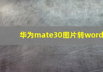 华为mate30图片转word