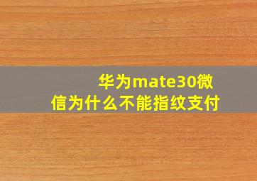 华为mate30微信为什么不能指纹支付