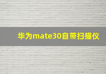 华为mate30自带扫描仪