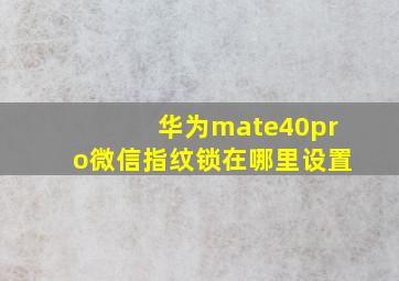 华为mate40pro微信指纹锁在哪里设置