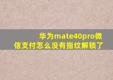 华为mate40pro微信支付怎么没有指纹解锁了