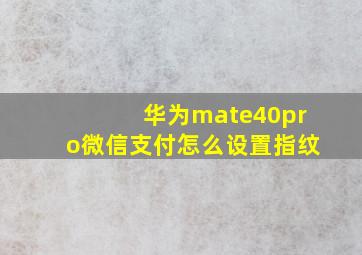 华为mate40pro微信支付怎么设置指纹