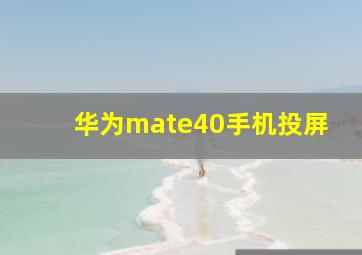 华为mate40手机投屏