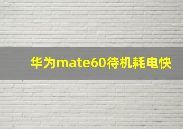 华为mate60待机耗电快