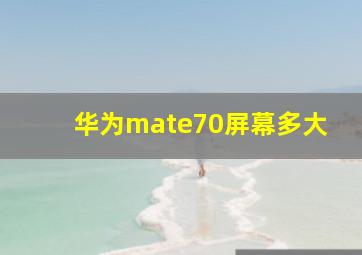 华为mate70屏幕多大