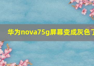 华为nova75g屏幕变成灰色了