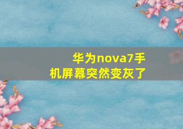 华为nova7手机屏幕突然变灰了