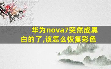 华为nova7突然成黑白的了,该怎么恢复彩色