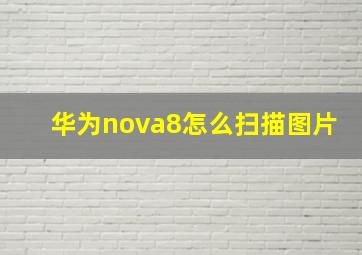 华为nova8怎么扫描图片