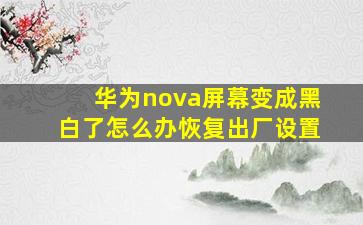 华为nova屏幕变成黑白了怎么办恢复出厂设置