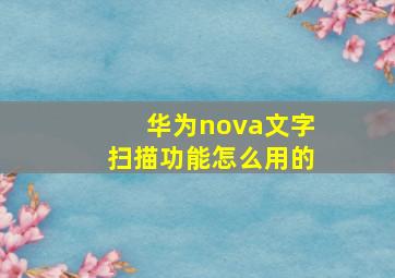 华为nova文字扫描功能怎么用的