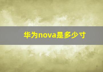 华为nova是多少寸