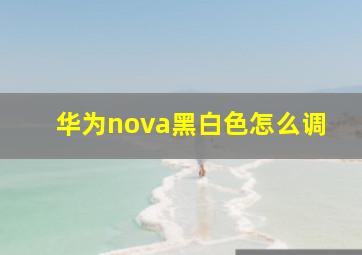 华为nova黑白色怎么调