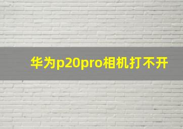 华为p20pro相机打不开