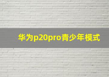 华为p20pro青少年模式