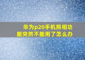 华为p20手机照相功能突然不能用了怎么办