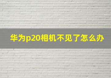 华为p20相机不见了怎么办