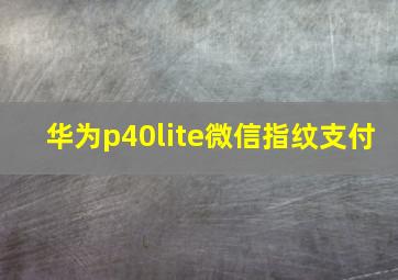 华为p40lite微信指纹支付