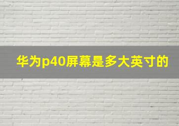 华为p40屏幕是多大英寸的