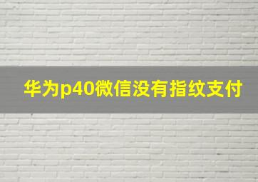 华为p40微信没有指纹支付