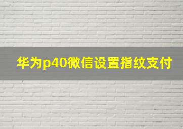 华为p40微信设置指纹支付