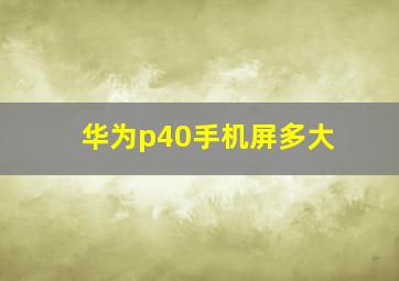 华为p40手机屏多大