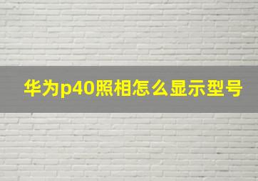 华为p40照相怎么显示型号