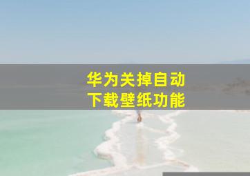 华为关掉自动下载壁纸功能