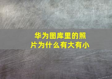 华为图库里的照片为什么有大有小