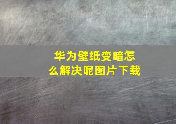 华为壁纸变暗怎么解决呢图片下载