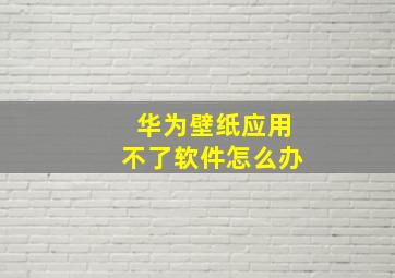 华为壁纸应用不了软件怎么办