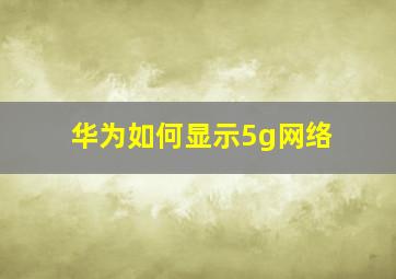 华为如何显示5g网络