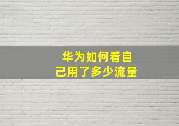 华为如何看自己用了多少流量