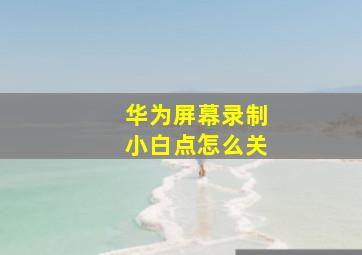 华为屏幕录制小白点怎么关