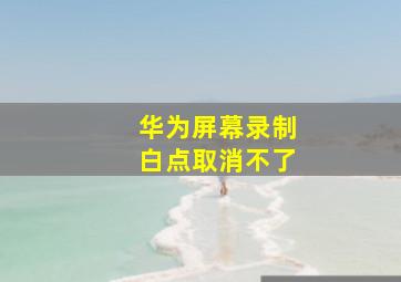 华为屏幕录制白点取消不了