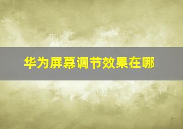 华为屏幕调节效果在哪