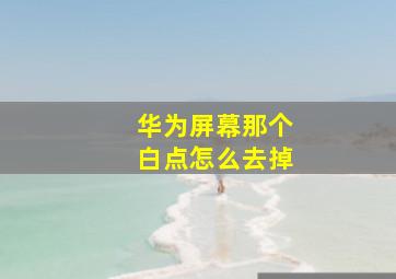 华为屏幕那个白点怎么去掉