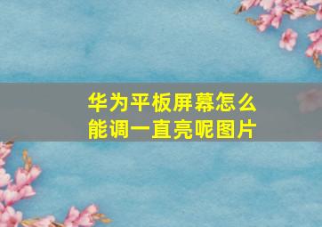 华为平板屏幕怎么能调一直亮呢图片